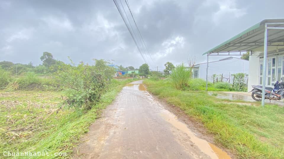 Đất cos pha, hẻm lê hồng phong, liên hiệp đức trọng