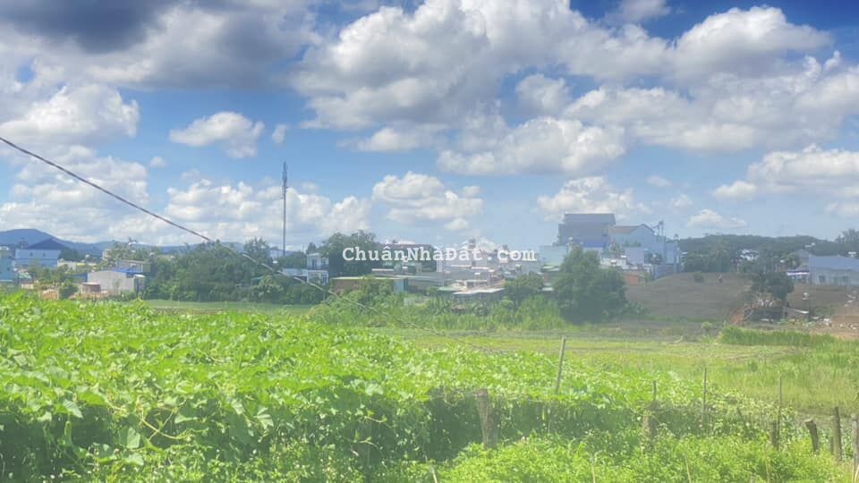 Cần bán 3 lô đất đối diện trường nghĩa hiệp, liên hiệp đức trọng