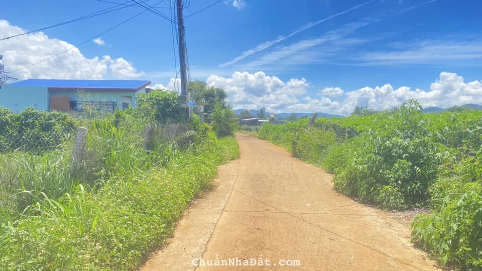 Cần bán 3 lô đất đối diện trường nghĩa hiệp, liên hiệp đức trọng