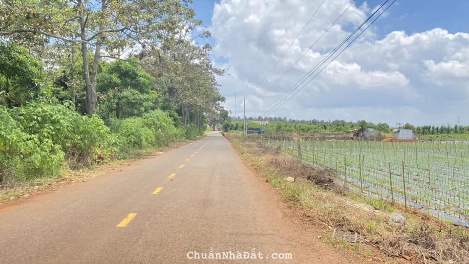 Bán lô đất víp 8 sào mặt tiền nhựa 8m, hiệp hòa ninh gia đức trọng