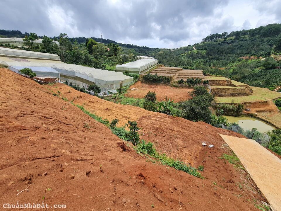 Bán đất hẻm trường sơn xuân trường Đà Lạt chỉ 7,9 tỷ