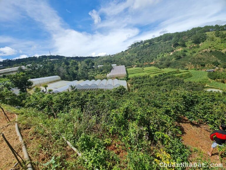 Bán đất hẻm trường sơn xuân trường Đà Lạt chỉ 7,9 tỷ