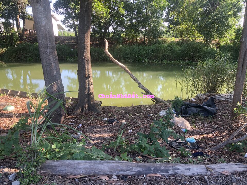 Đất mặt tiền Huyện Lộ 41, Ấp Mỹ Thuận, Thạnh Mỹ, Tân Phước, Tiền Giang Đất mặt tiền Huyện Lộ 41, Ấp Mỹ Thuận, Thạnh Mỹ, Tân Phước, Tiền Giang