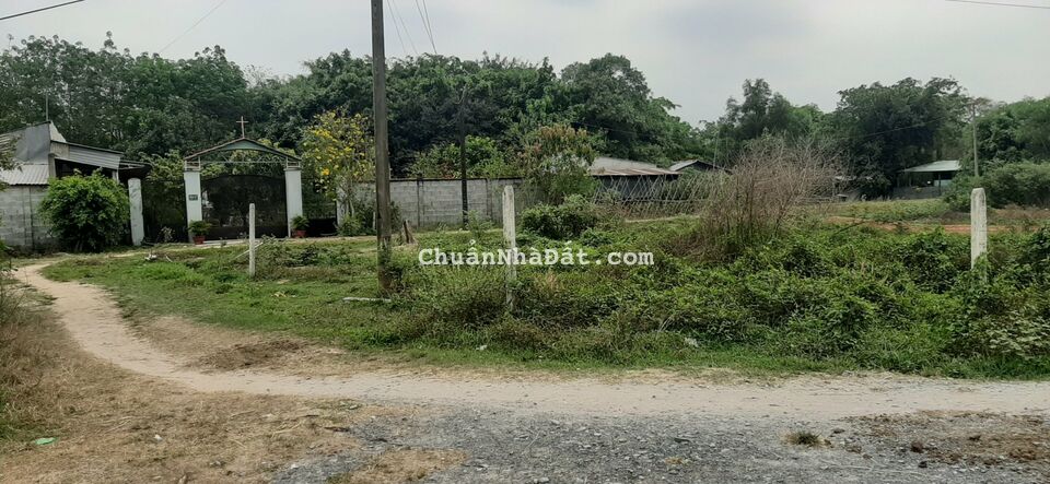 Hàng Ngợp Bán Vội, 168m2 Thổ Cư SHR Đường Hương Lộ 2,Trung Lập Hạ, XD Tự Do.