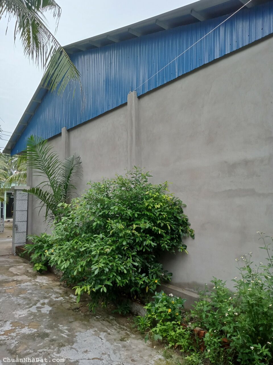 Bán nhà xưởng đang hoạt động gần vòng xoay An Khánh, Châu Thành, Bến Tre Bán nhà xưởng đang hoạt động gần vòng xoay An Khánh, Châu Thành, Bến Tre