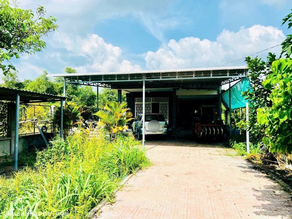 SIÊU PHẨM ĐẤT TRÒNG CÂY LÂU NĂM BÌNH PHƯỚC SIÊU PHẨM ĐẤT TRÒNG CÂY LÂU NĂM BÌNH PHƯỚC