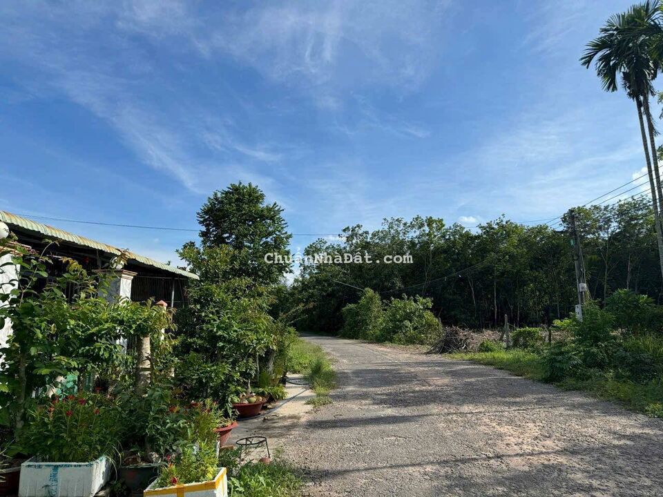 SIÊU PHẨM ĐẤT ĐÔ THỊ THỊ TRẤN DẦU TIẾNG SIÊU PHẨM ĐẤT ĐÔ THỊ THỊ TRẤN DẦU TIẾNG