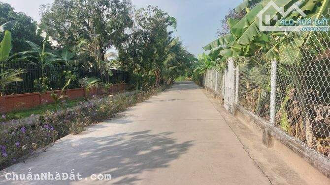 SIÊU PHẨM ĐẤT VƯỜN THỊ TRẤN DẦU TIẾNG