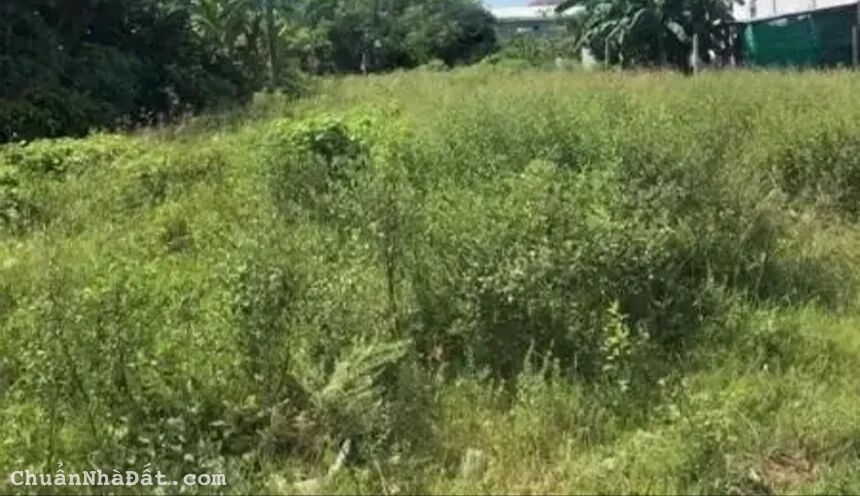 Bán Đất Mặt Tiền Quốc Lộ 1A Đại Tâm Mỹ Xuyên Sóc Trăng