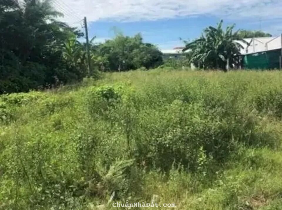 Bán Đất Mặt Tiền Quốc Lộ 1A Đại Tâm Mỹ Xuyên Sóc Trăng