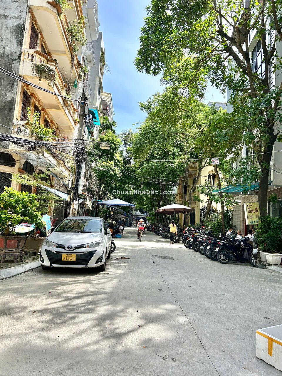 ( Phố Hiếm) Phạm Ngọc Thạch Đống Đa 45m2 x 8 tầng thang máy ngõ thông ở sướng ( Phố Hiếm) Phạm Ngọc Thạch Đống Đa 45m2 x 8 tầng thang máy ngõ thông ở sướng