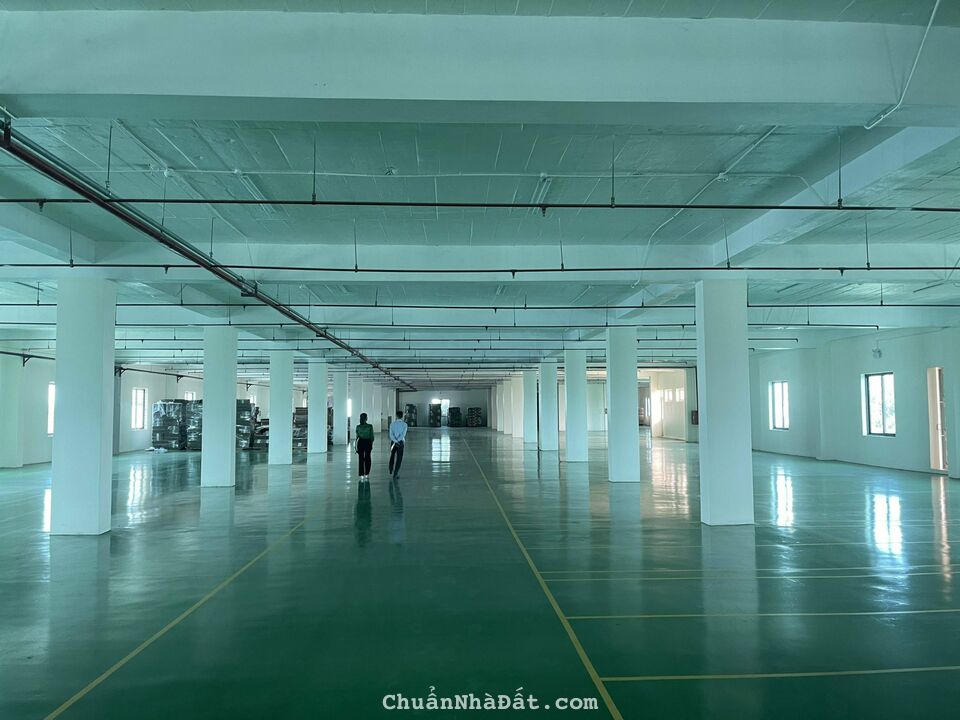 Cho thuê 23.000m² xưởng ở Cụm Công nghiệp Cao An, Cẩm Giàng, Hải Dương.