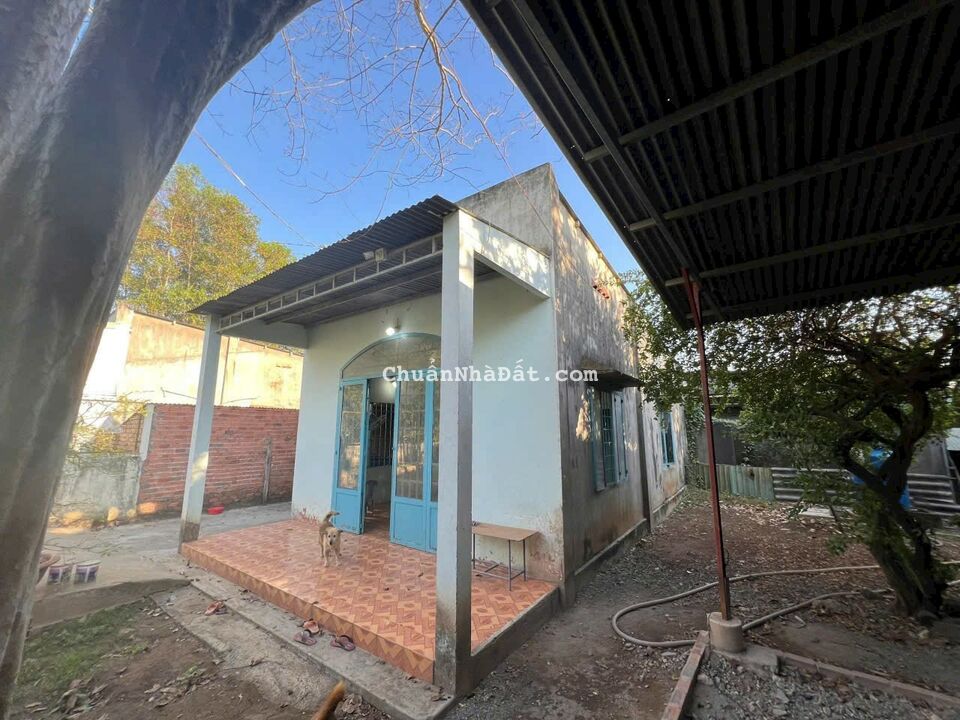 💥💥 Hạ Giá Bán Gấp 850 m2 Kho Hàng + Nhà Đất Mặt Tiền KD Trục Chính Giang Điền - Phước Tân 