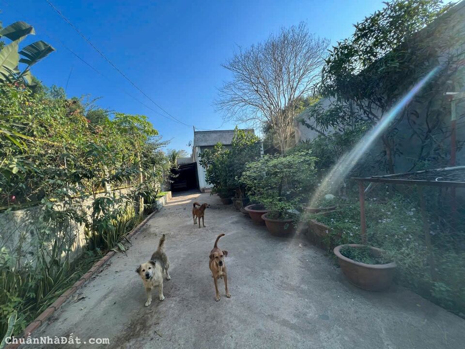 💥💥 Hạ Giá Bán Gấp 850 m2 Kho Hàng + Nhà Đất Mặt Tiền KD Trục Chính Giang Điền - Phước Tân 