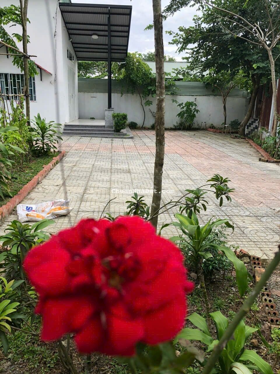 Bán Nhà Vườn 514 m2 Cực Kỳ Tâm Huyết Ngay Gần Nhà Thờ GX. Giang Điền _ Trảng Bom _ ĐN