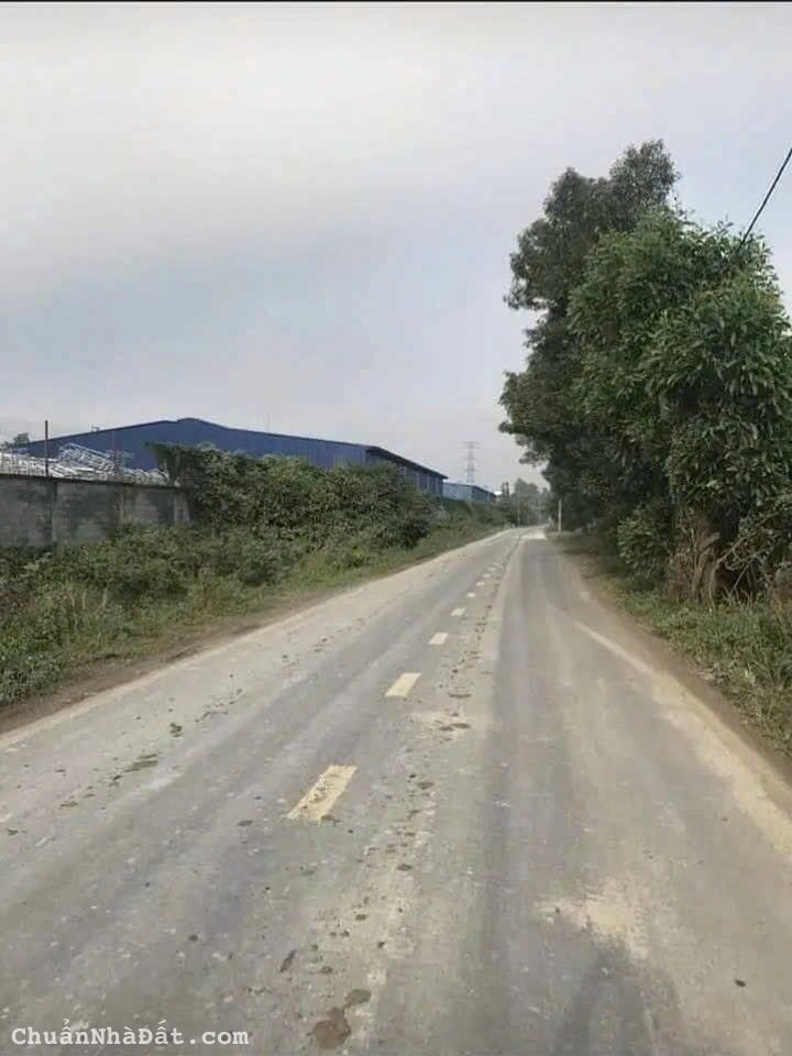 Bán 8 Sào Mặt Tiền Đường Bùng Binh _ Cách UBND Xã Thiện Tân 400m _ Vĩnh Cửu _ ĐN 