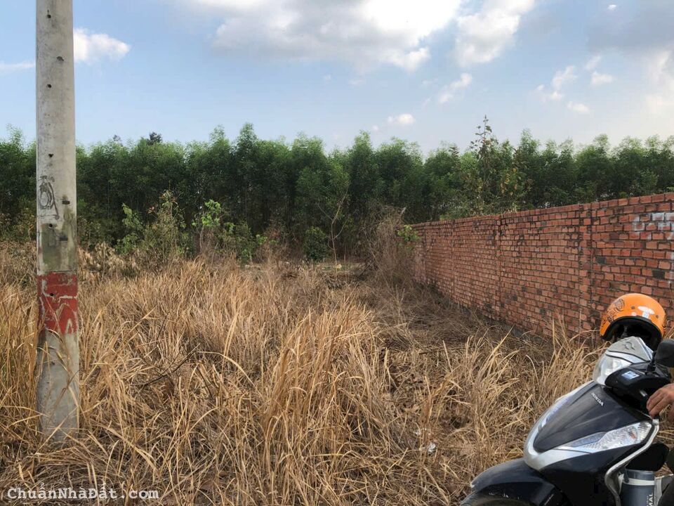 Bán Lô Đất 1 Sẹc Đường Nguyễn Khắc Hiếu & Ngay Gần Đường Phùng Hưng _ P. Tam Phước _ TP Biên Hòa Bán Lô Đất 1 Sẹc Đường Nguyễn Khắc Hiếu & Ngay Gần Đường Phùng Hưng _ P. Tam Phước _ TP Biên Hòa