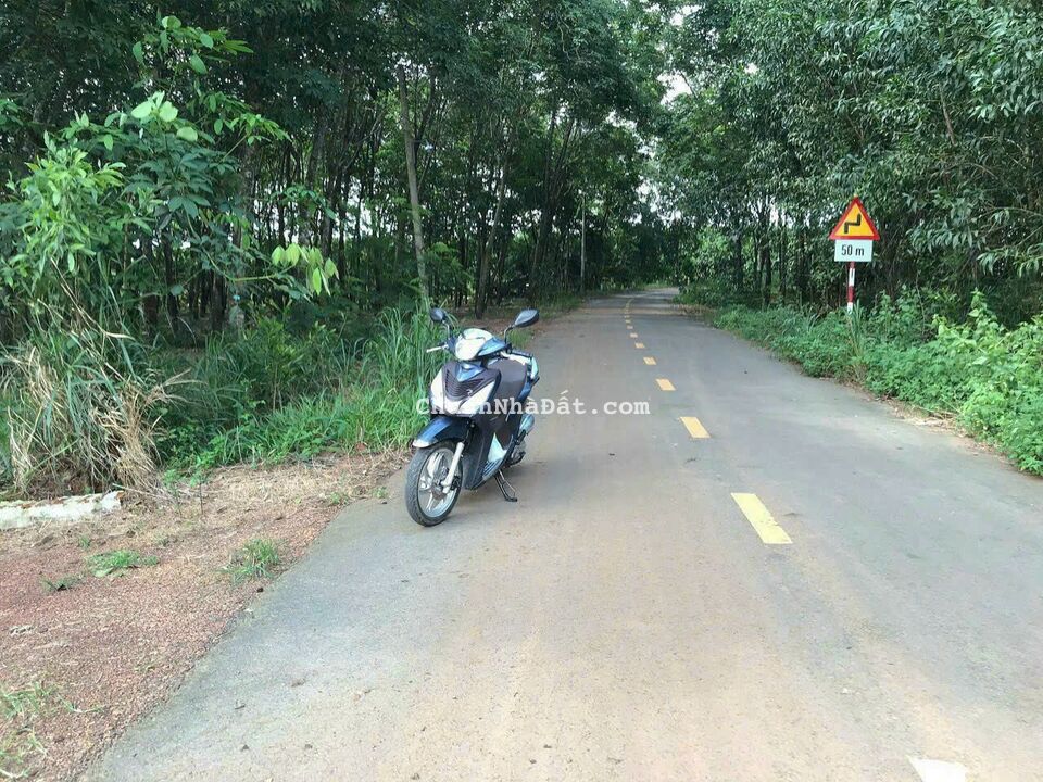 Lô Đất 3,4 Sào Mặt Tiền Đường Tây Hòa 04 _ Trảng Bom _ ĐN