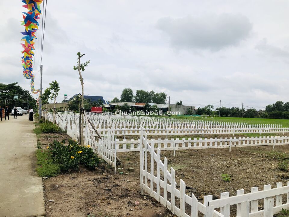 Bán đất giáp chợ Mỹ Hạnh Nam, đường DT824, 5x25, sổ hồng riêng. 1.1 tỷ Bán đất giáp chợ Mỹ Hạnh Nam, đường DT824, 5x25, sổ hồng riêng. 1.1 tỷ