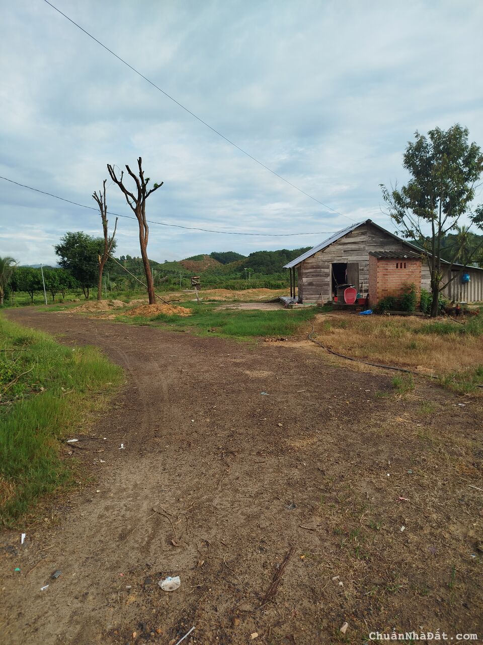 cần bán đất sầu riêng 