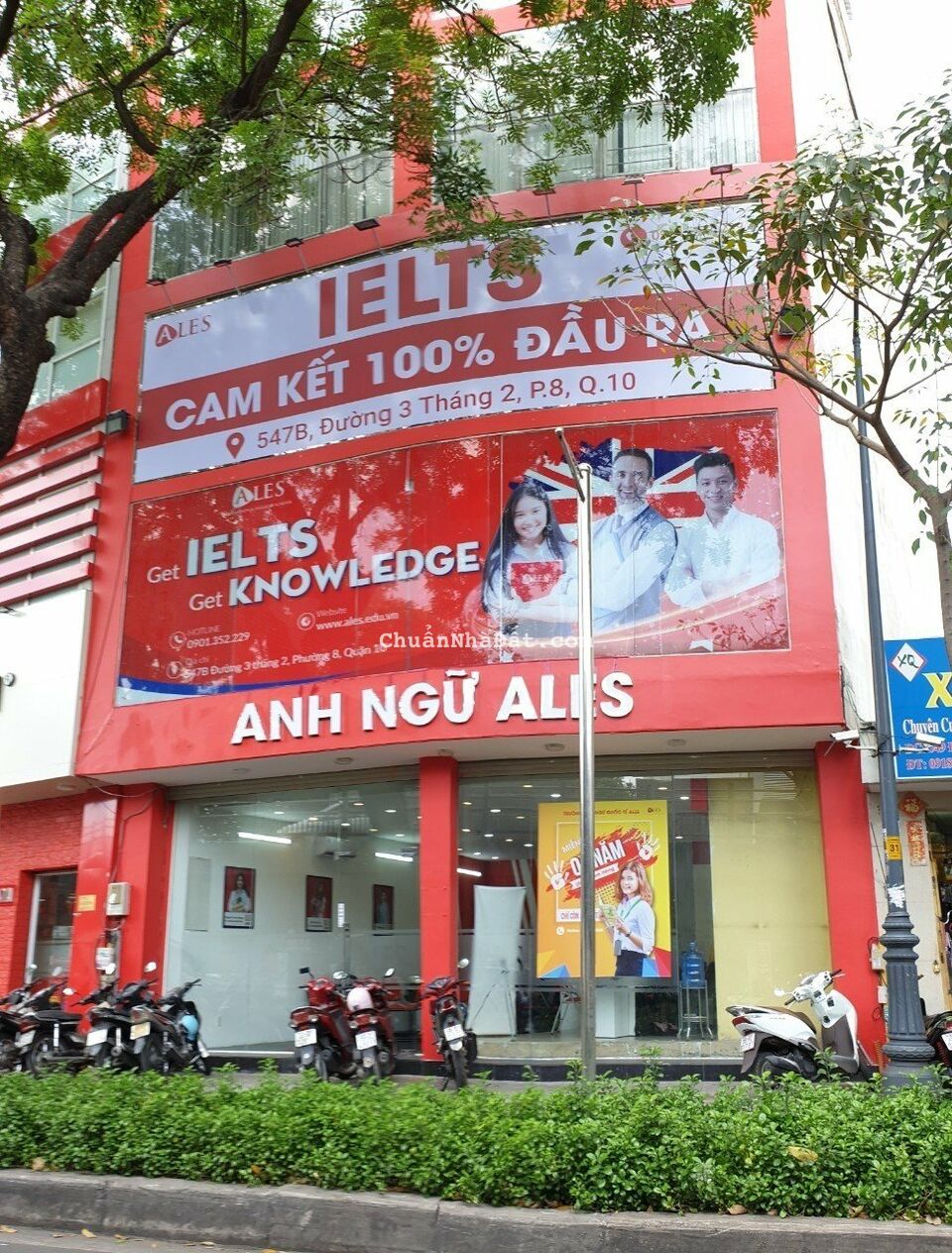 MẶT TIỀN 3 THÁNG 2 GẦN NGUYỄN TRI PHƯƠNG - NGANG 10M