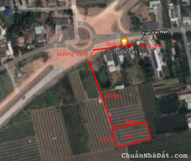 Cần bán đất lúa xã An Vĩnh Ngãi, TP Tân An 