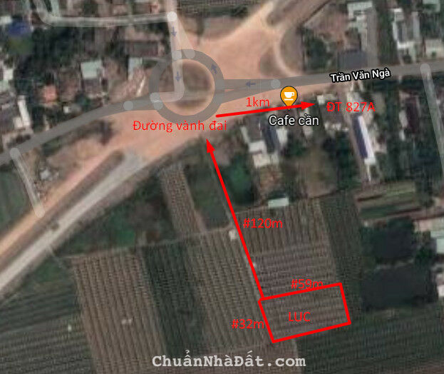 Cần bán nhanh lô đất lúa hẻm đường vành đai TP Tân An tỉnh Long An 