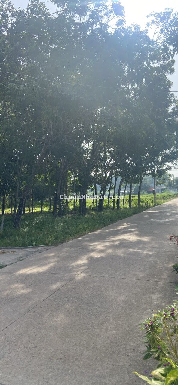 đất rẻ tây ninh đất rẻ tây ninh