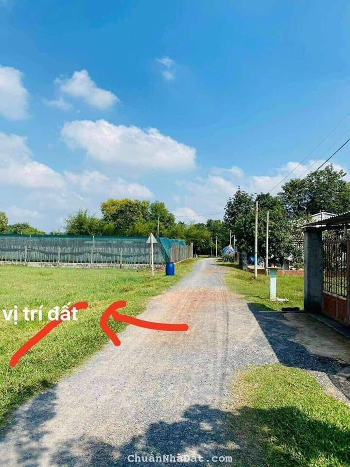 EM CÓ LÔ ĐẤT SIÊU ĐẸP BÁN GẤP MT XPHƯỚC HIỆP 140m2 chỉ 480tr EM CÓ LÔ ĐẤT SIÊU ĐẸP BÁN GẤP MT XPHƯỚC HIỆP 140m2 chỉ 480tr