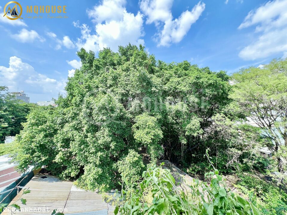 Căn Hộ Có Gác, Ban Công, View Cây Xanh, Rộng 35m2