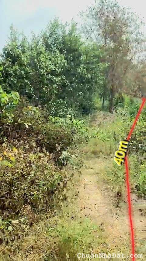 Giam hon 200Tr CẦN BÁN ĐẤT THỔ LÚA G
🌍Tân Ân,Cần Đước, Long An
📐DT:599mv Thổ Lua