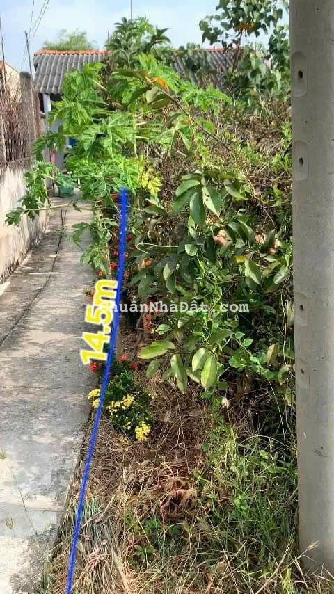 Giam hon 200Tr CẦN BÁN ĐẤT THỔ LÚA G
🌍Tân Ân,Cần Đước, Long An
📐DT:599mv Thổ Lua