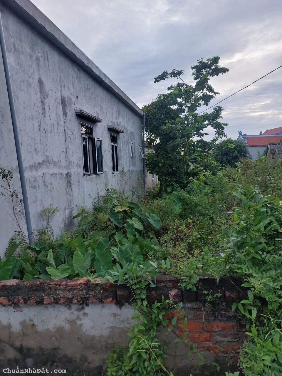 Đất thổ cư Đất thổ cư