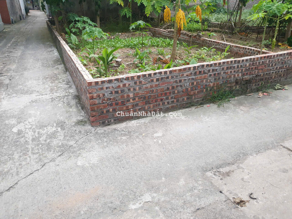 ĐẤT ĐẸP ĐÔNG ANH, HÀ NỘI, LÔ GÓC, Ô TÔ VÀO ĐẤT, 5OM RA Ô TÔ TRÁNH, GIÁ ĐẦU TƯ