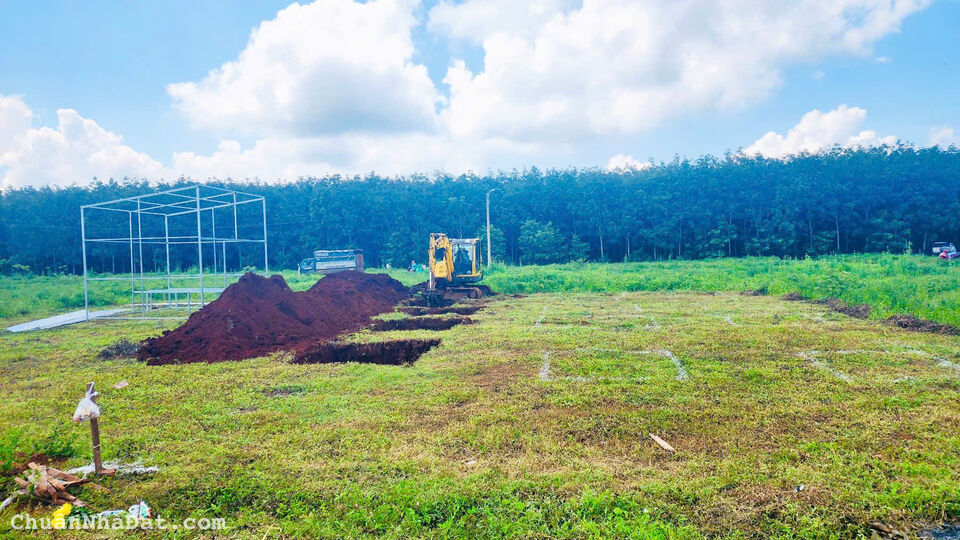 Mua ngay Đất nền Phú Lộc sổ đỏ, giá chỉ 7xx triệu ưu đãi lên tận 5 chỉ vàng dành cho người nhanh ta