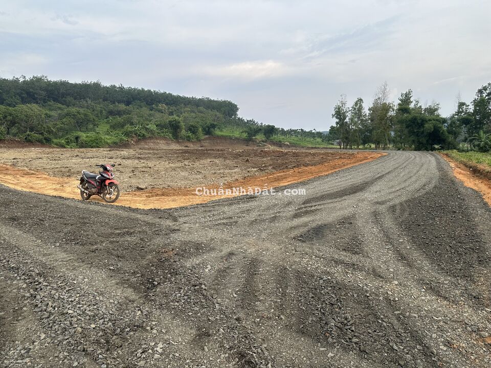 CẦN BÁN ĐẤT SÀO GIÁ RẺ, SỔ SẴN, CÔNG CHỨNG SANG TÊN NGAY,ĐẤT THUỘC TÂN PHƯỚC,ĐỒNG PHÚ,BINH,PHƯỚC.