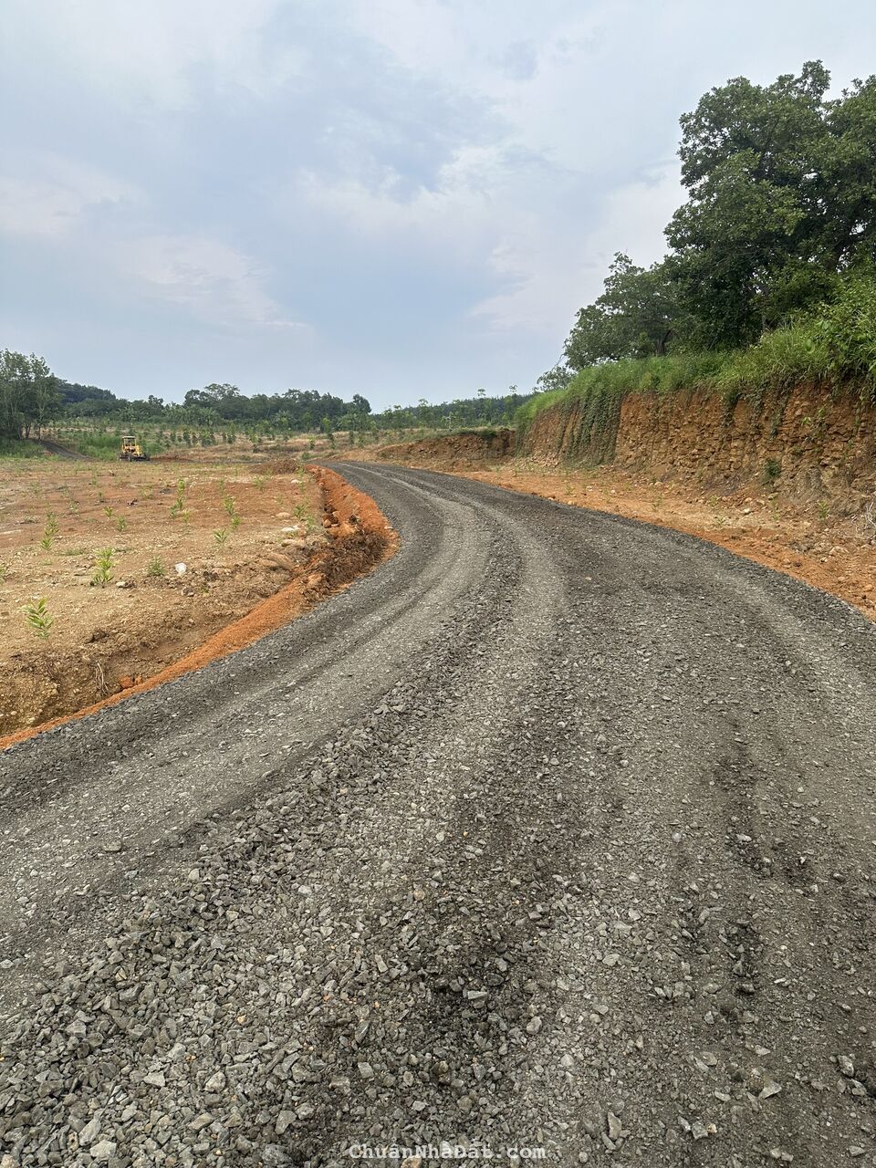 CẦN BÁN ĐẤT SÀO GIÁ RẺ, SỔ SẴN, CÔNG CHỨNG SANG TÊN NGAY,ĐẤT THUỘC TÂN PHƯỚC,ĐỒNG PHÚ,BINH,PHƯỚC.