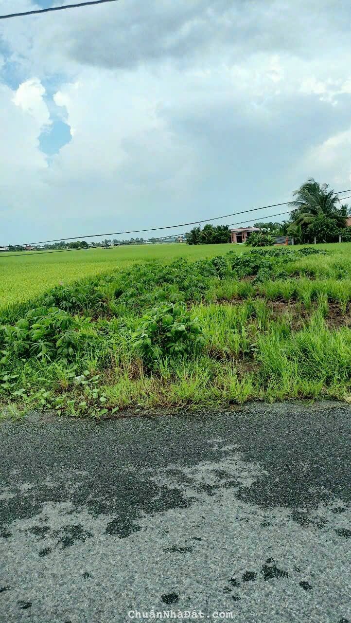 Bán đất thổ cư mặt tiền đường nhựa 9 mét tại huyện tân trụ Bán đất thổ cư mặt tiền đường nhựa 9 mét tại huyện tân trụ