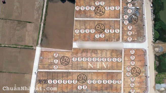 Bán Đất Đấu giá Đồng Mèo Trung Lập Tri Trung Phú Xuyên Bán Đất Đấu giá Đồng Mèo Trung Lập Tri Trung Phú Xuyên