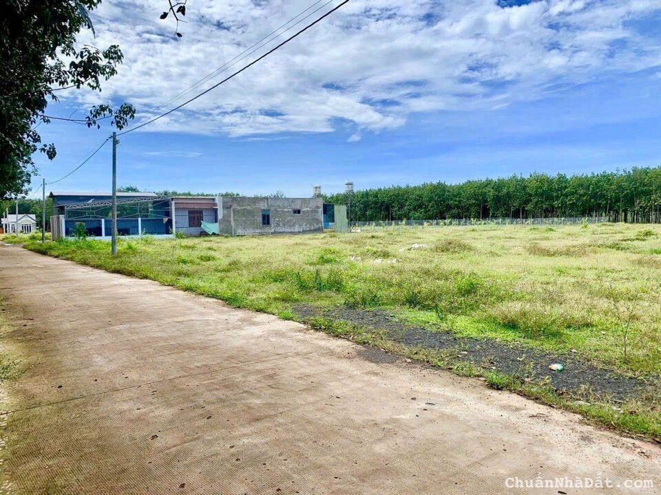 NỢ NGÂN HÀNG BÁN GẤP 1.560M2 ĐẤT SÁT CHỢ BUÔN BÁN ĐÔNG, GẦN KCN ĐANG HOẠT ĐỘNG. GIÁ 130TR NỢ NGÂN HÀNG BÁN GẤP 1.560M2 ĐẤT SÁT CHỢ BUÔN BÁN ĐÔNG, GẦN KCN ĐANG HOẠT ĐỘNG. GIÁ 130TR