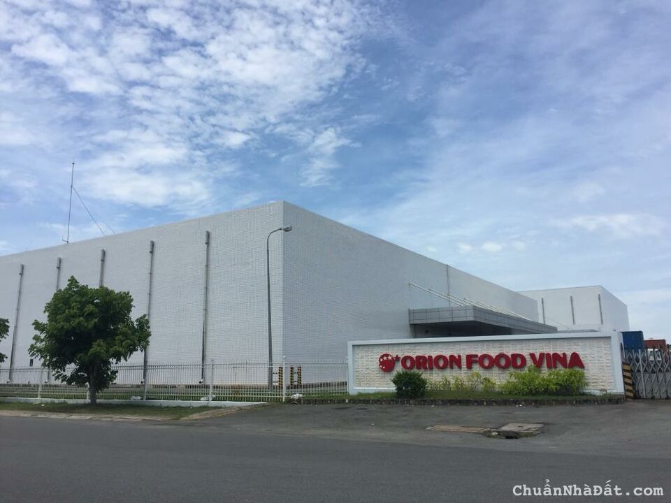 CHUYỂN NHÀ VỀ NAM ĐỊNH SỐNG NÊN BÁN 1.091M2 ĐẤT, SÁT CHỢ BUÔN BÁN ĐÔNG. GIÁ 160TR