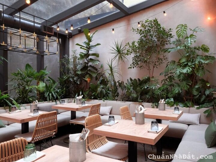 Cho thuê mặt bằng mặt tiền số Trần Hưng Đạo, Quận 1, DT: 6.5x16m nở: 10m, 1 trệt, 45 triệu/tháng.