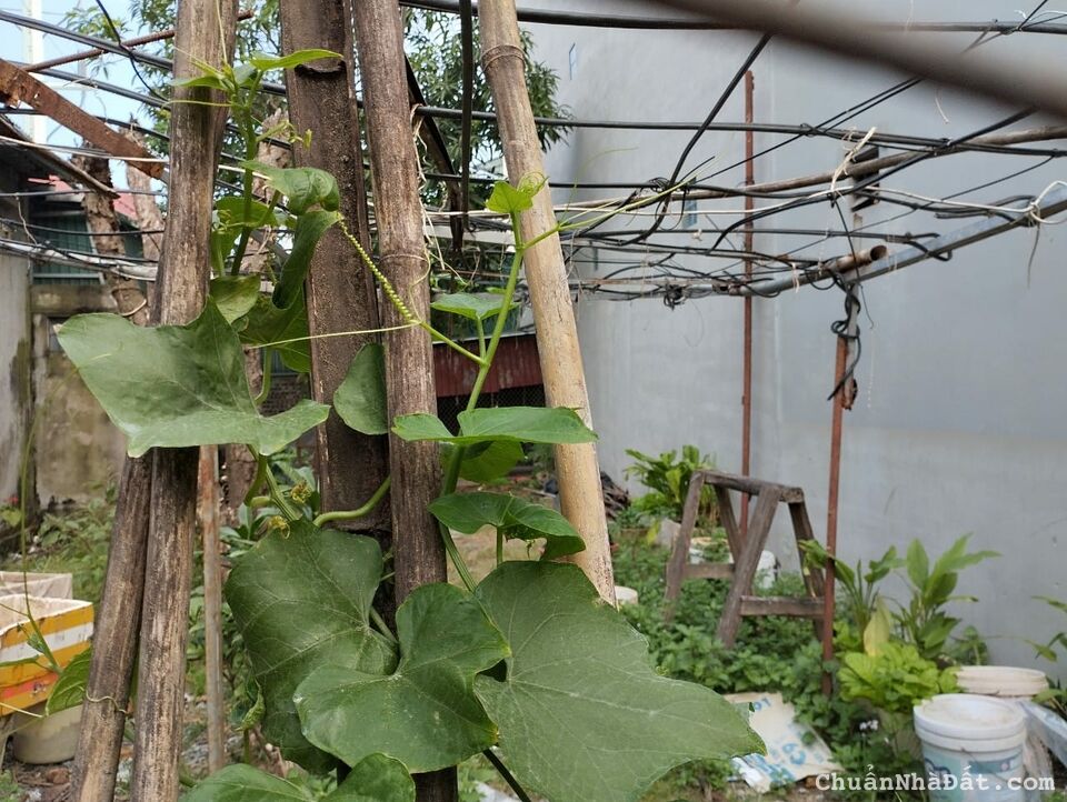 HOT HOT: BÁN ĐẤT ĐẸP TẠI VÂN CANH, GIÁ SIÊU HỜI 8,5 TỶ, DIỆN TÍCH 85M, SÁT ÔTÔ, NGÕ THÔNG HOT HOT: BÁN ĐẤT ĐẸP TẠI VÂN CANH, GIÁ SIÊU HỜI 8,5 TỶ, DIỆN TÍCH 85M, SÁT ÔTÔ, NGÕ THÔNG