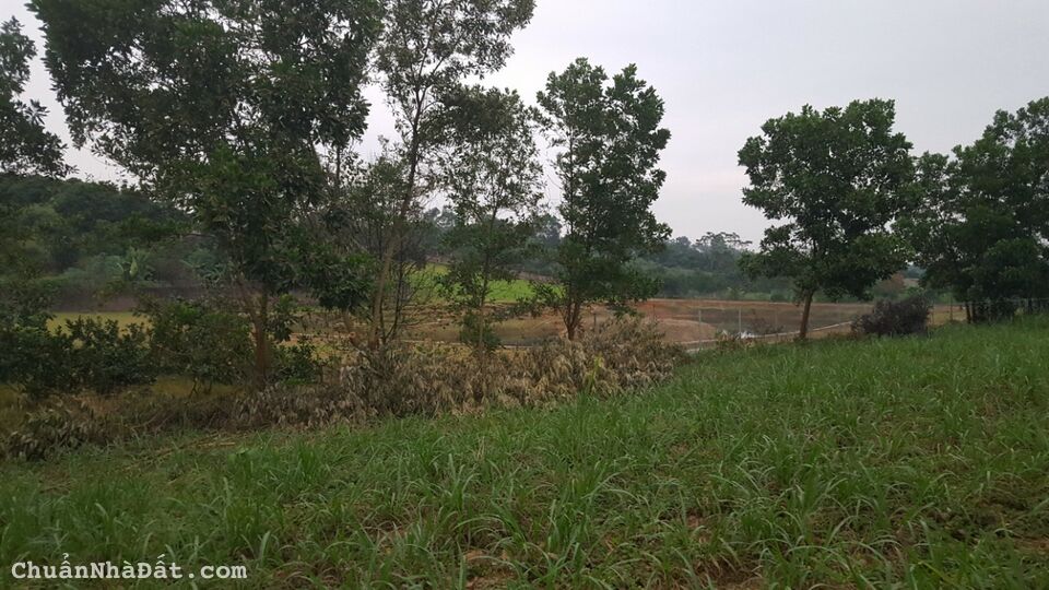 Mảnh đất 8500m Có 300M TC, Thôn Phú Yên, Xã Yên Bài, Huyện Ba vì, Tp Hà Nội Mảnh đất 8500m Có 300M TC, Thôn Phú Yên, Xã Yên Bài, Huyện Ba vì, Tp Hà Nội