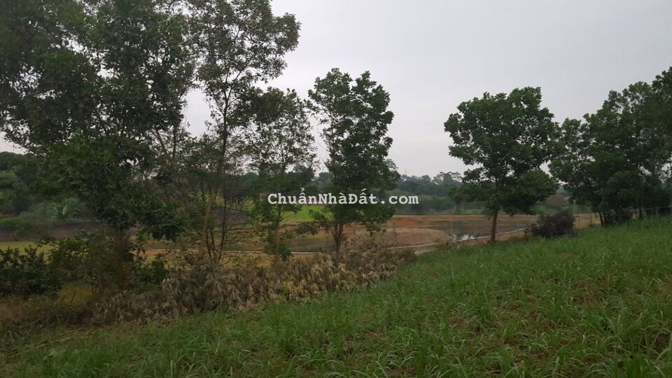 Mảnh đất 8500m Có 300M TC, Thôn Phú Yên, Xã Yên Bài, Huyện Ba vì, Tp Hà Nội Mảnh đất 8500m Có 300M TC, Thôn Phú Yên, Xã Yên Bài, Huyện Ba vì, Tp Hà Nội