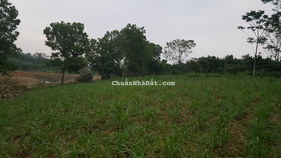 Mảnh đất 8500m Có 300M TC, Thôn Phú Yên, Xã Yên Bài, Huyện Ba vì, Tp Hà Nội Mảnh đất 8500m Có 300M TC, Thôn Phú Yên, Xã Yên Bài, Huyện Ba vì, Tp Hà Nội