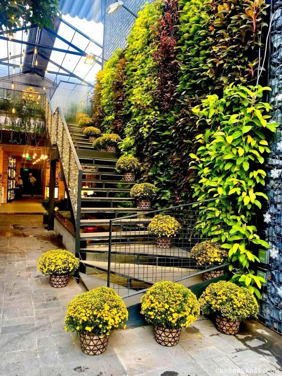 110 tỷ còn 90 tỷ - Biệt Thự Hàng Hiếm 06 Nguyễn Văn Đậu, Phú Nhuận - DT: 550M2, 8,5x36M, 2 Tầng