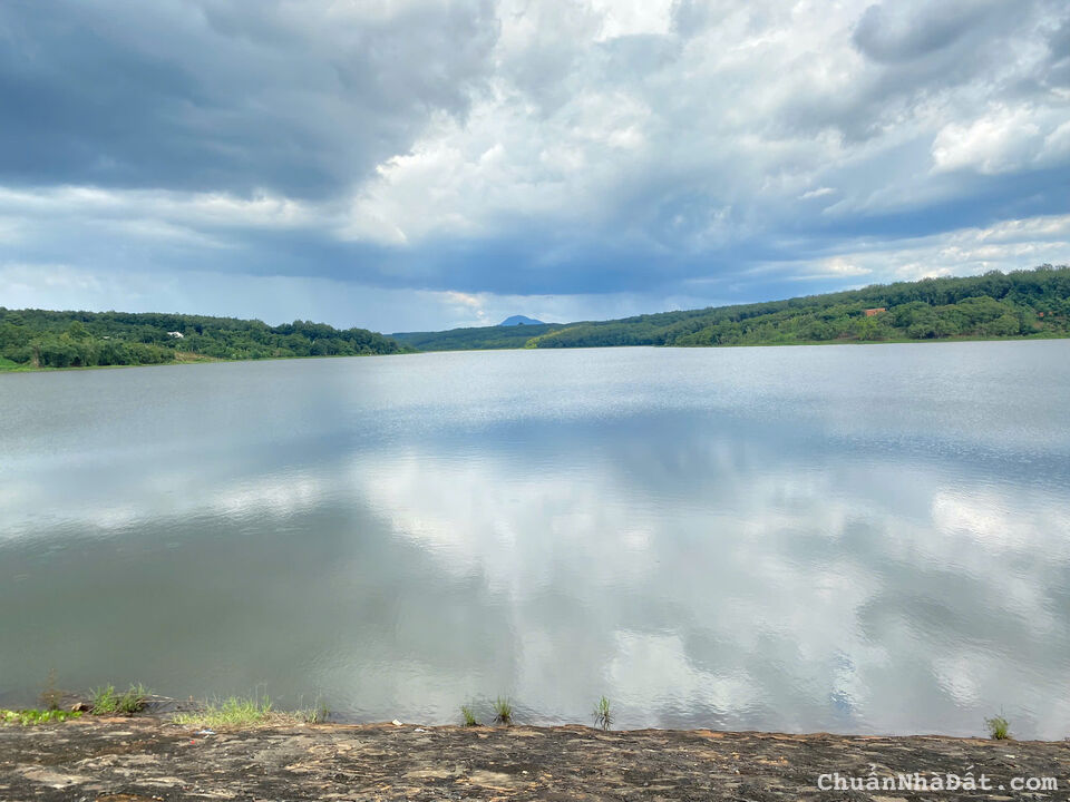 Chủ NGỘP NGÂN HÀNG gửi bán gấp VƯỜN ĐIỀU, giá bèo 379/1009m2, MT đường nhựa 10m