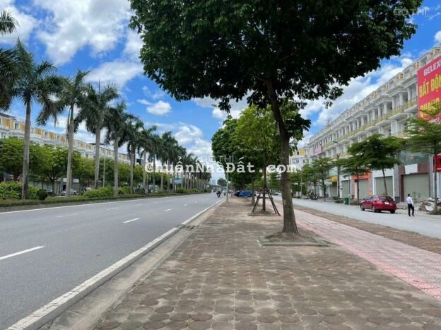 TÀI CHÍNH TRÊN 10 TỶ MUA GÌ Ở GELEXIMCO LÊ TRỌNG TẤN???