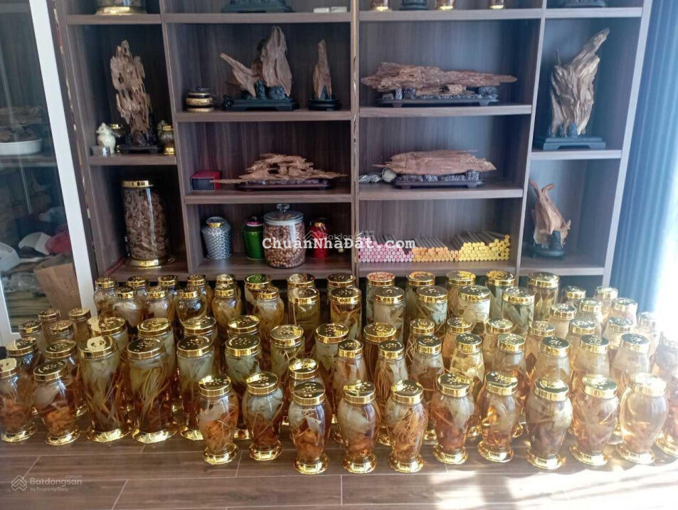 Biệt thự đẳng cấp Hoa Phượng DT 8 X 18 - Hầm 4 Tầng - nội thất cao cấp - giá chỉ 40 tỷ